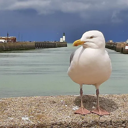Dom wakacyjny Le Treportais Le Tréport